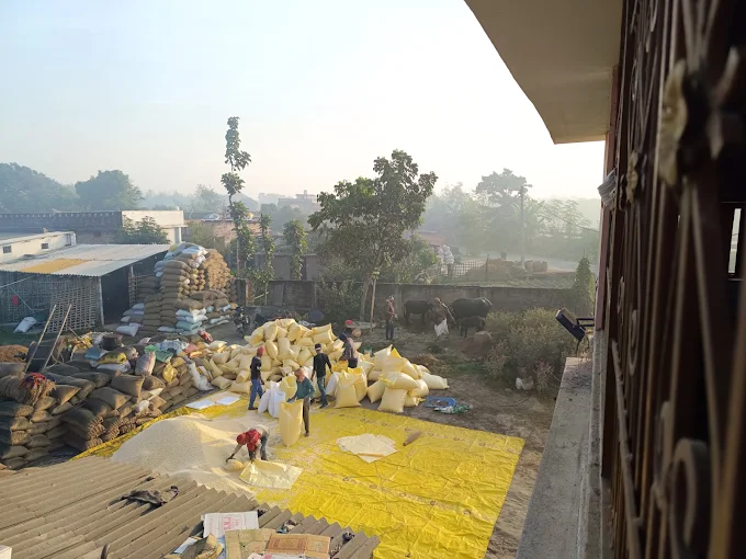 शुद्ध चूड़ा
